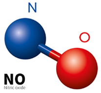 no